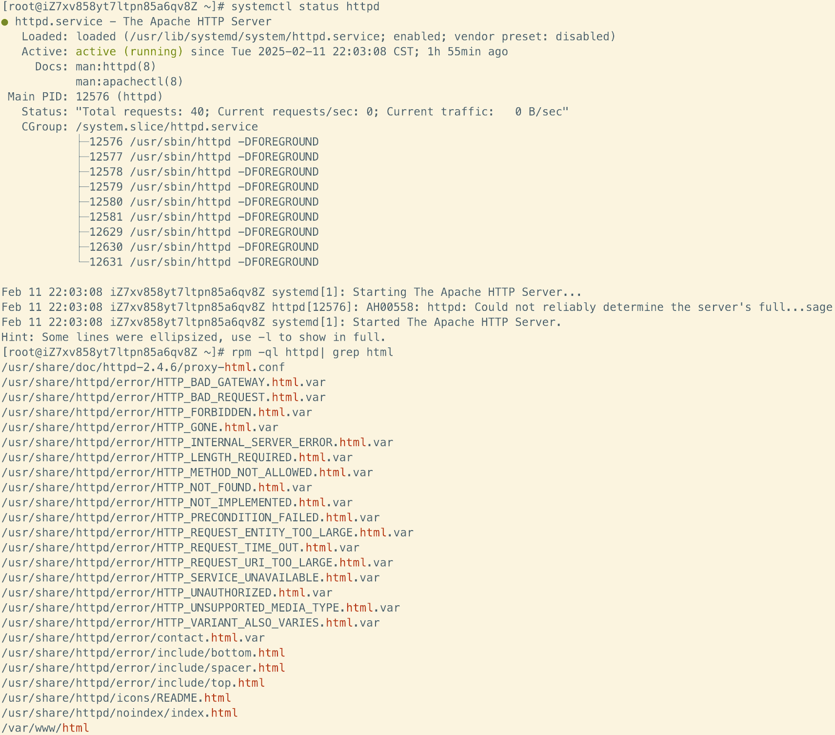 image-20250211235946415